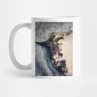 Seaweed Studies Mug